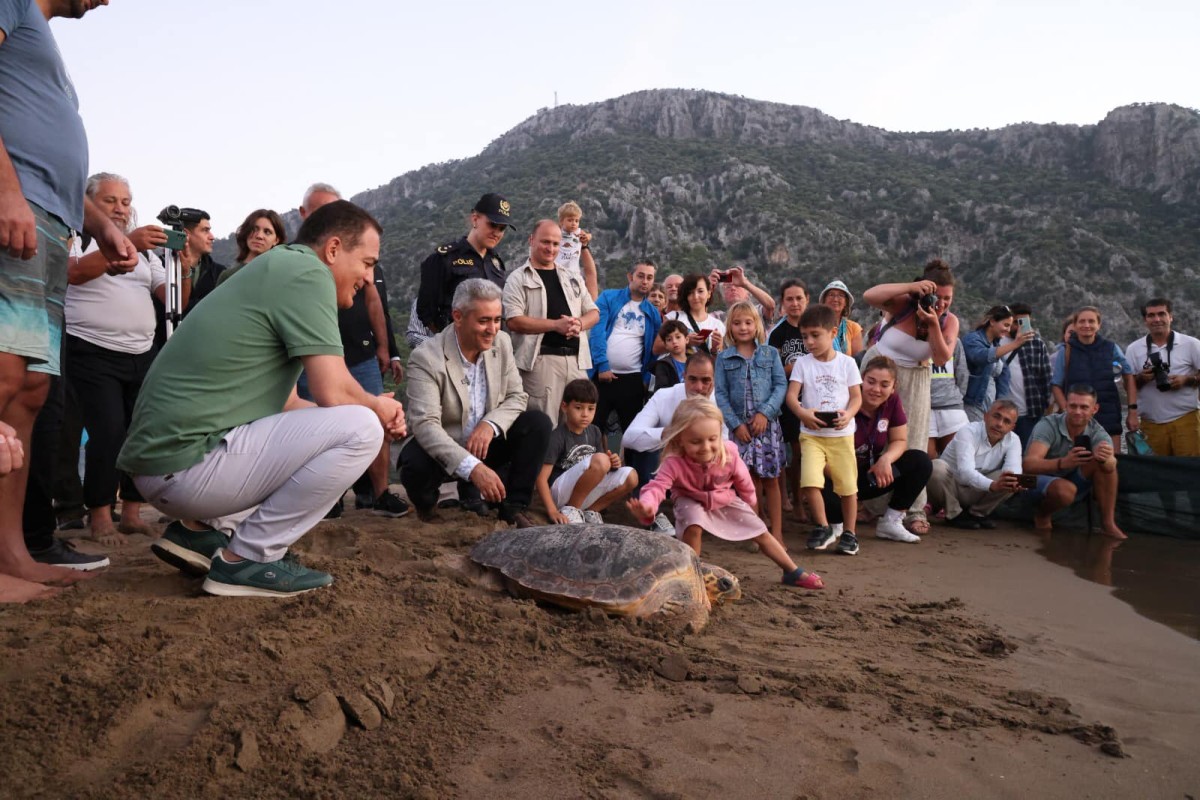 Vali Akbıyık, Yavru Deniz Kaplumbağalarını Sahile Bıraktı