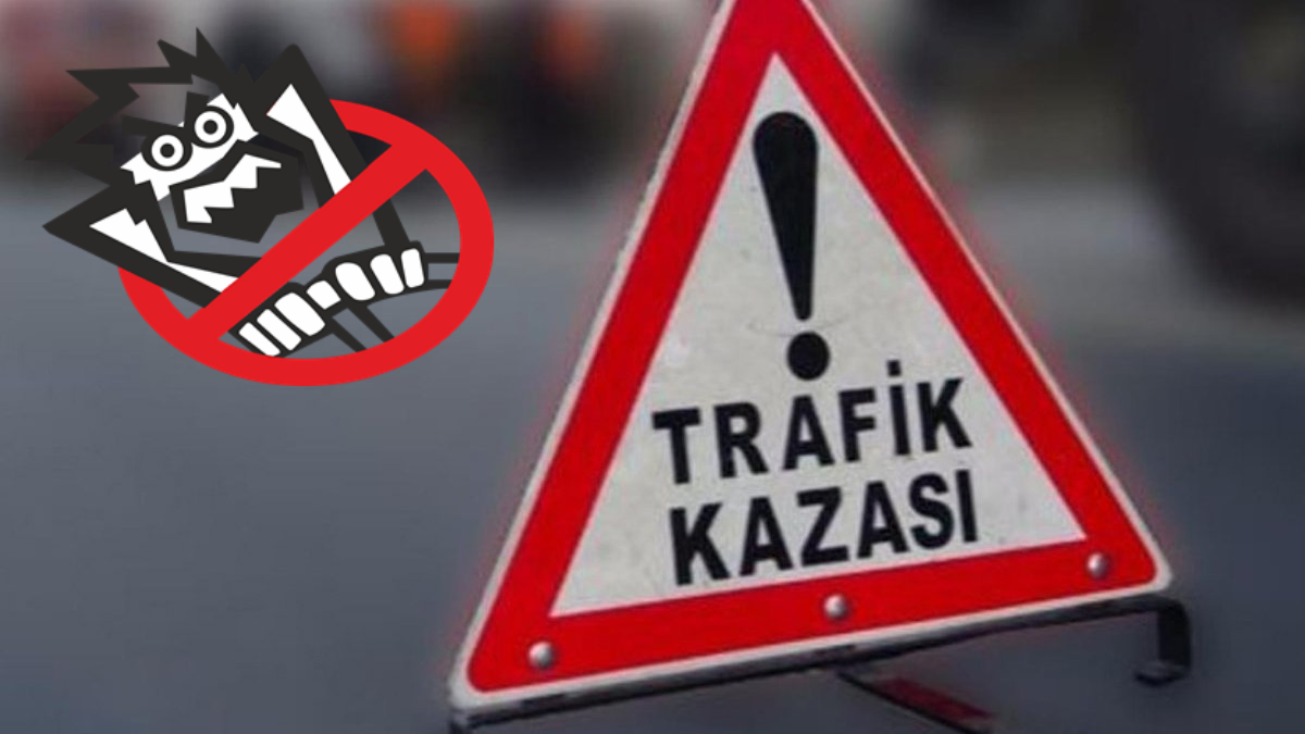 Milas'ta Trafik Kazası 22 Yaralı 