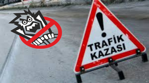Milas'ta Trafik Kazası