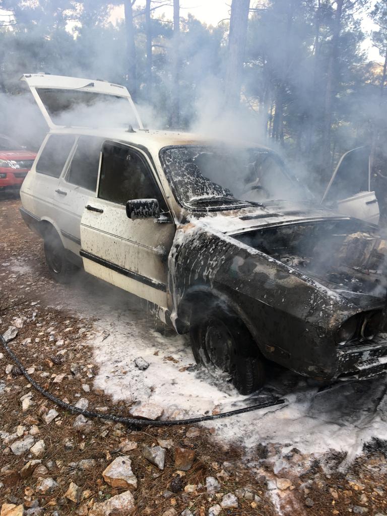 Otomobilde çıkan yangın ormana sıçramadan söndürüldü
