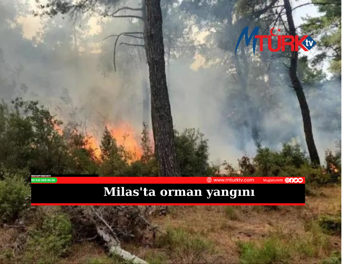 Milas'ta Orman Yangını 
