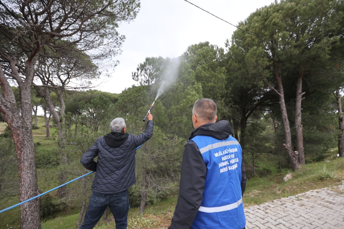 Beyaz Altın İçin Sahada Mücadele Başladı