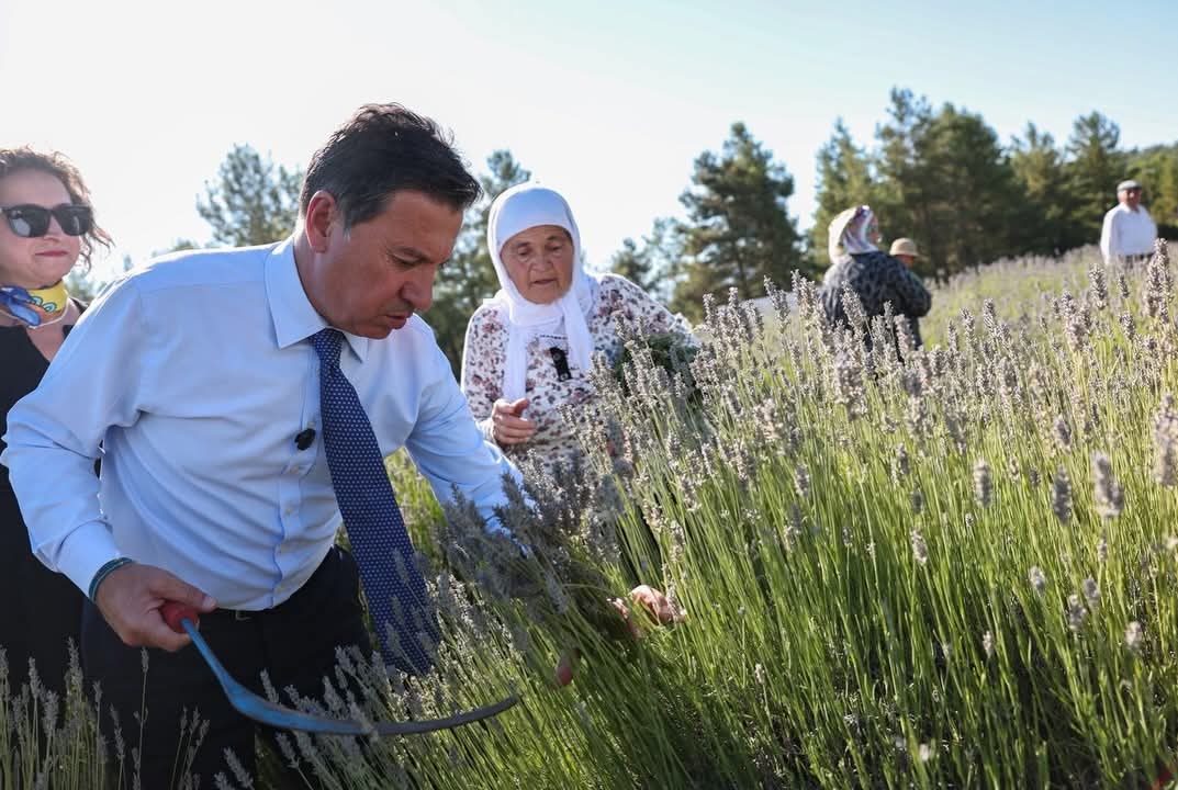 Ahmet Aras Koku Vadisi'nde Lavanta Hasadına Katıldı