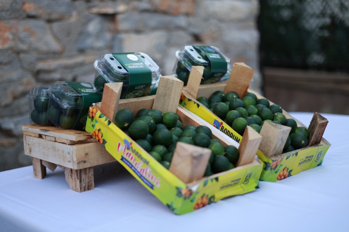 “Bodrum Mandalini Gastronomi ve Turizmde Öne Çıkıyor”